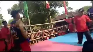 Sekali jotos tewas Pencak Dorr |#PagarNusa |#Gasmi |#PencakDorr