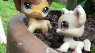 LPS-(nueva serie)perdidos en un bosque