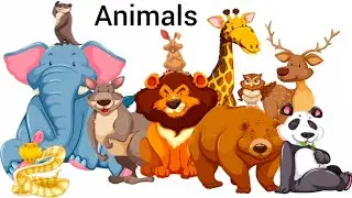 প্রাণীর নাম ||  Animal name for kids || animal kingdom || animals for kids