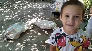 Купили поросят.Разширение хозяйства.