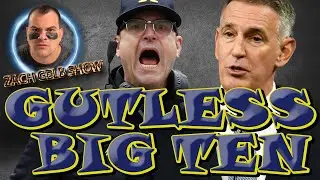 Jim Harbaugh Suspension Is A Joke I Zach Gelb