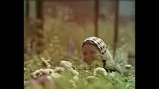 Куйбышевская шоколадная фабрика 