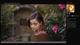 Erica gameplay