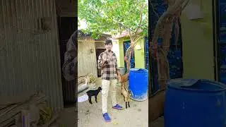 #comedy