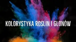 🎯Kolorystyka Roślin i Glonów🎯