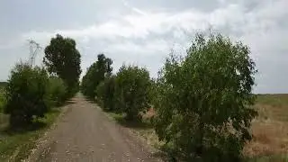 DJI AVATA Modo Manuale