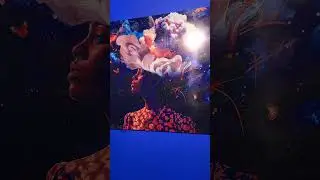 Exposition d'artiste IA au Musée des  Cultures Contemporaines Adama Toungara à Abidjan.