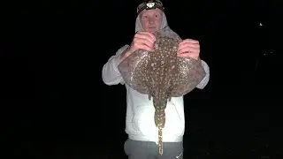 Shore Fishing Cornwall- Huss & Ray
