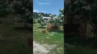 Прогулка в Ямполе