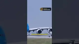 Все относительно: бизнес-джет и огромный самолет | 