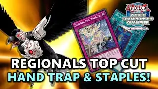 Regionals Most Played Hand Traps and Side Deck Staples POST DUNE (Duelist Nexus)! | August 2023