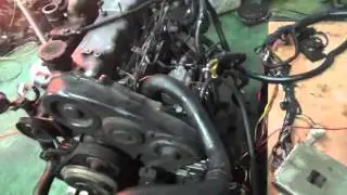 Проверка давления масла в двигателе D4BH 4957786 Старекс электронное ТНВД