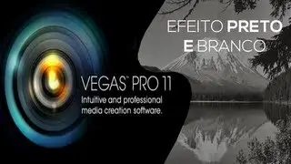 Tutorial Sony Vegas - Efeito Preto e Branco