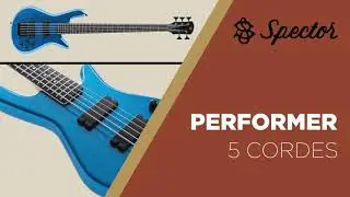 Basse électrique SPECTOR PERFORMER 5 Cordes (vidéo Algam Webstore).