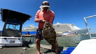 flounder run has begun? 2023