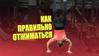 КАК ПРАВИЛЬНО ОТЖИМАТЬСЯ