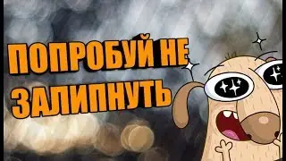 ПОПРОБУЙ НЕ ЗАЛИПНУТЬ | ЗАЛИПНУЛ ЛАЙК😁