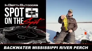 Spot On The Spot - Backwater Mississippi River Perch
