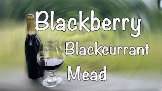 Blackberry Blackcurrant Mead // Start to Tasting