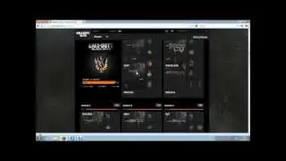 Call Of Duty:Black Ops 2 Master Prestige Service! Free,OPEN!