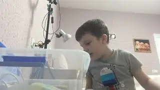 Жмякаем слаймы 😃 слаймы испортились