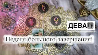 Дева ♍️ Прогноз с 19 по 25 мая 2025
