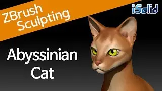 ZBrush Sculpting - Abyssinian Cat