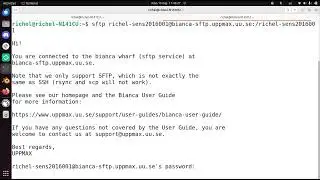 Using sftp with bianca