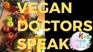 Panel of Vegan Doctors Speak in Chicago VR