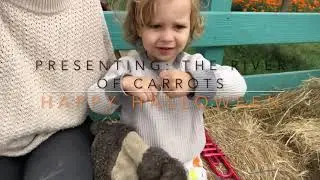 The River of Carrots (Billy Joel Parody)