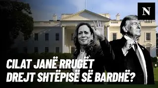 Cilat janë rrugët drejt Shtëpisë së Bardhë për Harris dhe Trump?