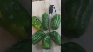 Наш перчик🙂