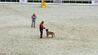 Картер С 84