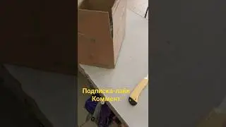 3 апреля 2024 г.