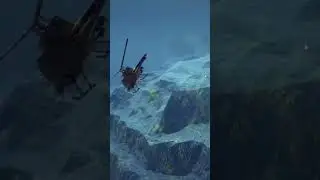 Helicopter crash 