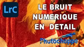 LR15  Le bruit numérique EN DETAIL