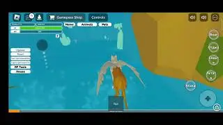 Где можно сделать дом для стаи в Animal simulator