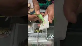 Unboxing Mitsuri Glitter