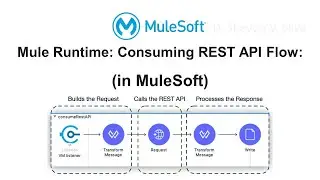 Mule Runtime: Consuming REST API Flow:  (in MuleSoft)