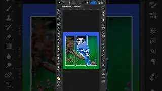 Photo Manipulation in Photoshop CC 2025 