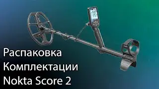 Распаковка комплектации Nokta Double Score
