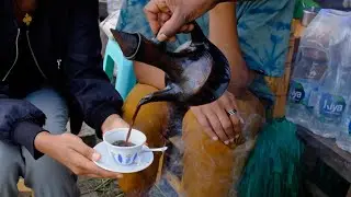 Addis Ababa: All Roads Lead to Coffee