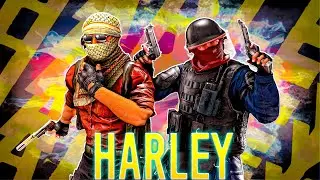 Harley