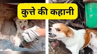 अगर कोई आपको कुत्ता कहे तो मुस्कुराएं और गर्व महसूस करें, यह वीडियो देखें