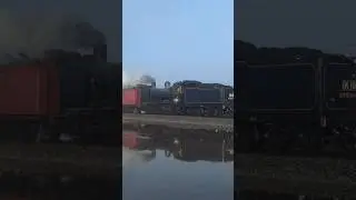 Steam Locomotive K183 powering through the fog 😍🚂 #train