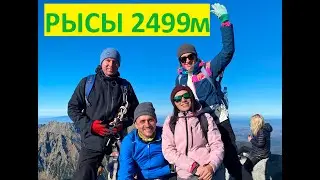 Рысы 2021