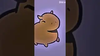 He’s capybara