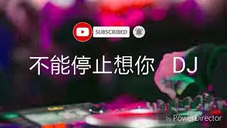 不能停止想你   DJ