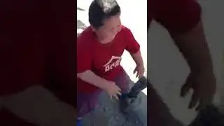Танси узбеки