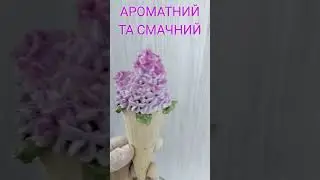 Зацвів бузок